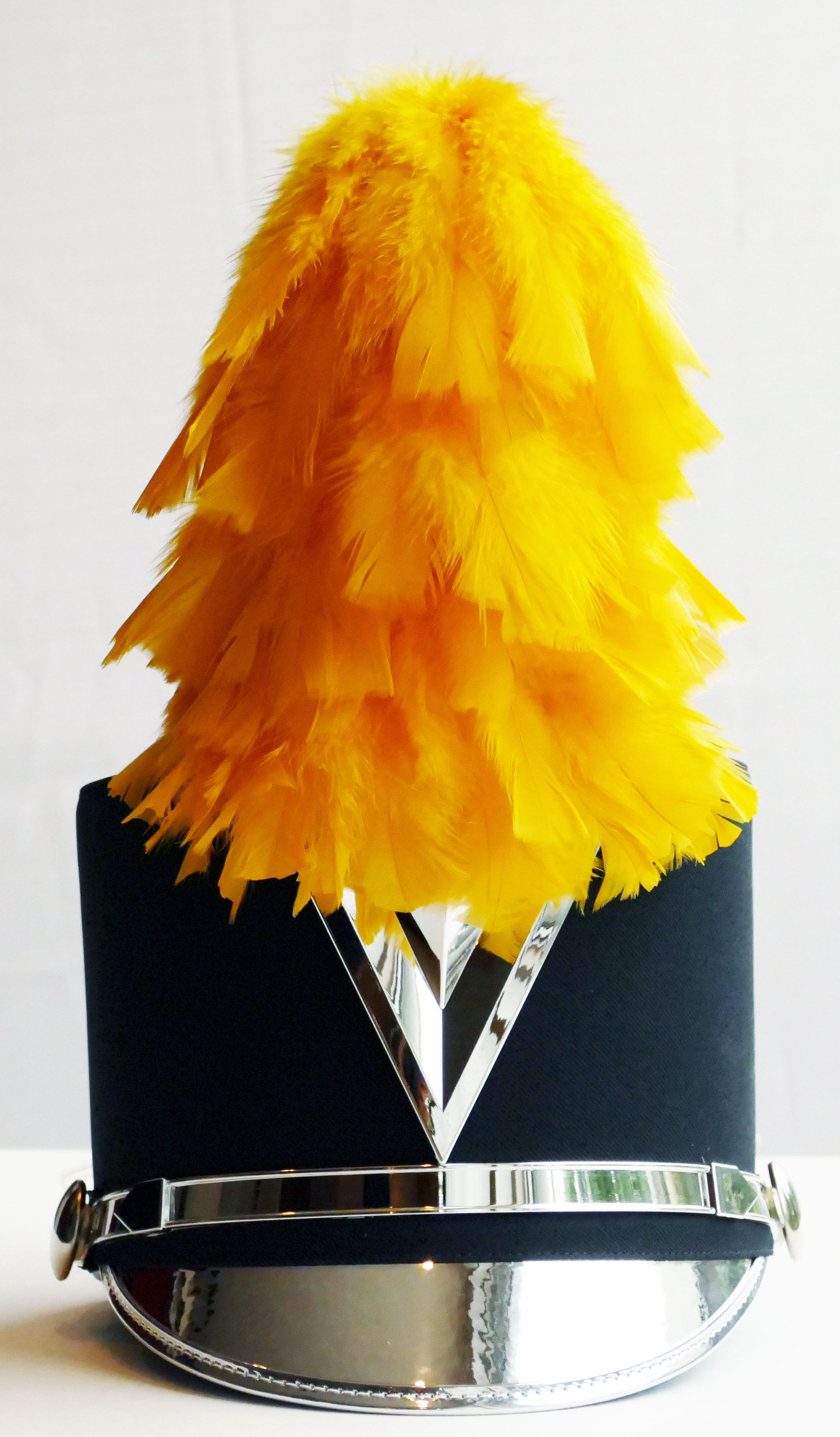 French  Fountain Plume 12"