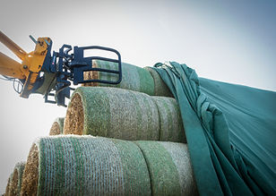 Protexia Hay Tarps protect hay