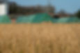 Convenient Hay Tarps