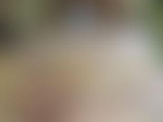 Porcelain vs Indian Sandstone Patios: Which Is Right for Your Garden?