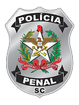PP-COLORIDO-PNG.png