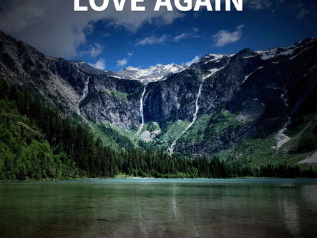 Domestique - Love Again