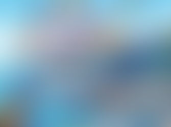 Korea Sends Big Ships for Squid