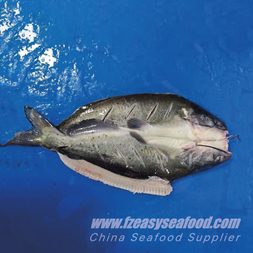 Frozen Butterflied Channel Catfish, Back-Opened — Easyseafood