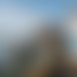 Morocco's Anchovy Exports: Africa's Dominant Force & Future Outlook