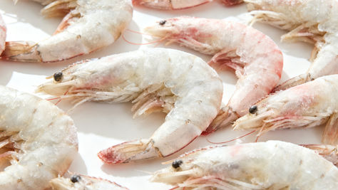 Indonesia Suspends White Shrimp Exports to US: Countdown to FDA’s October 31 Radiation-Free Certification