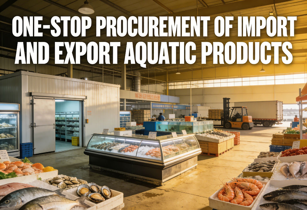 生成特定风格概念图 (2)_edited.jpg