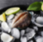 China Frozen Abalone Supplier