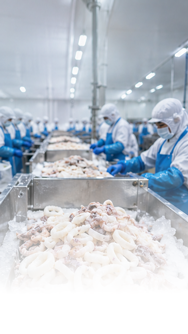 Easy-seafood-for-food-manufacturing.png