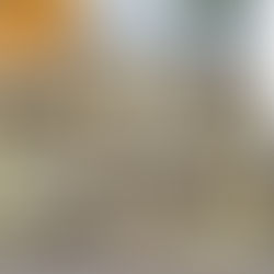 Global Shrimp Market: A Tale of Two Hemispheres in Week 48