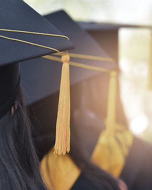 Sociology degree