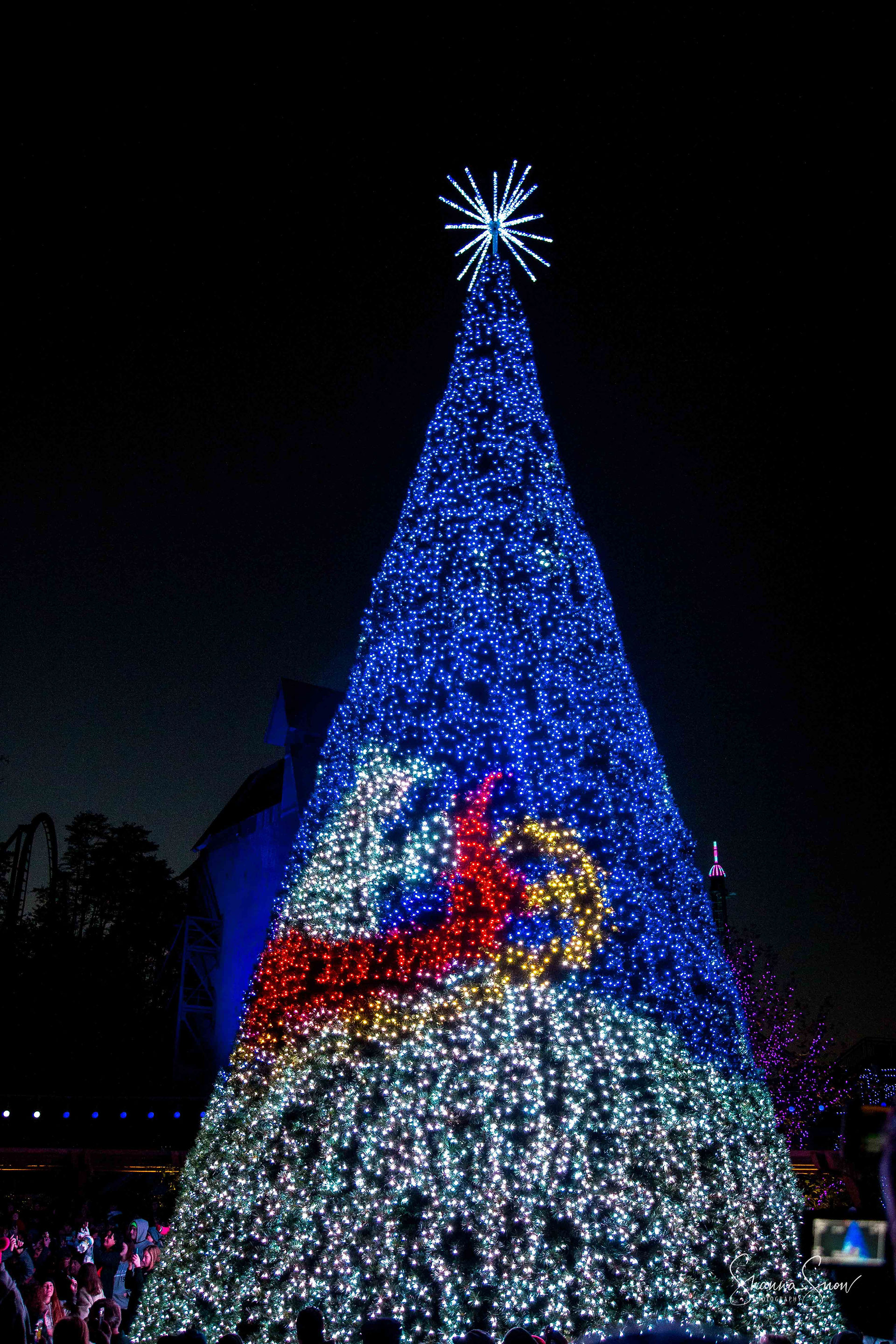 Dollywood (62 of 80)