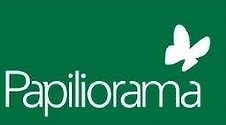 Papillorama