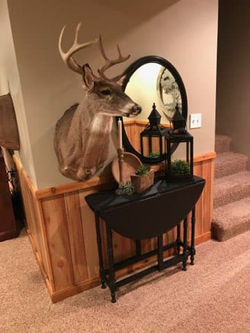 Basement Lodge Transformation