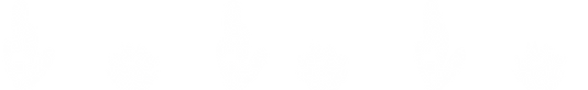 cactus reversed