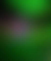 London’s Christmas Lights 2021