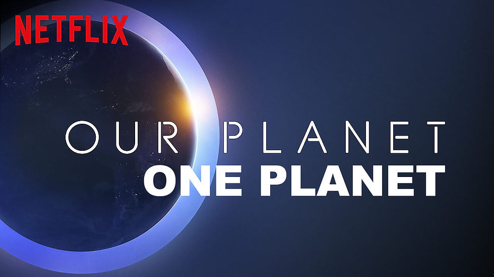 Our Planet, Halo Campaign Content, 2021