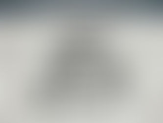 Briefing # 15- "Double Mindedness" Published on February 29, 2024