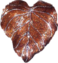 hoja2.png