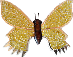 mariposa3.png