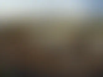 Attend the SoluDyne ERFA meeting in May