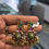 Thumbnail: Heritage earrings 
