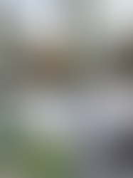 Meios de Representação: entre o traço à mão e a inteligência artificial