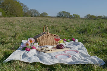 Cucumber_Picnic_WideShot_FullPicnic.JPG