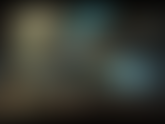 Introduction to Survivor Camps