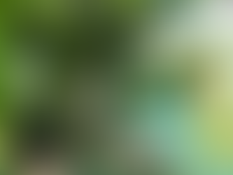 Praise and Prayer: October, 2019