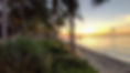 FL keys image.jpg