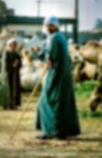Egyptian trader at a camel market outside Cairo - Pentax K1000