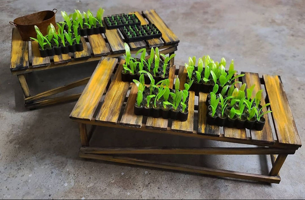 Greenhouse benches