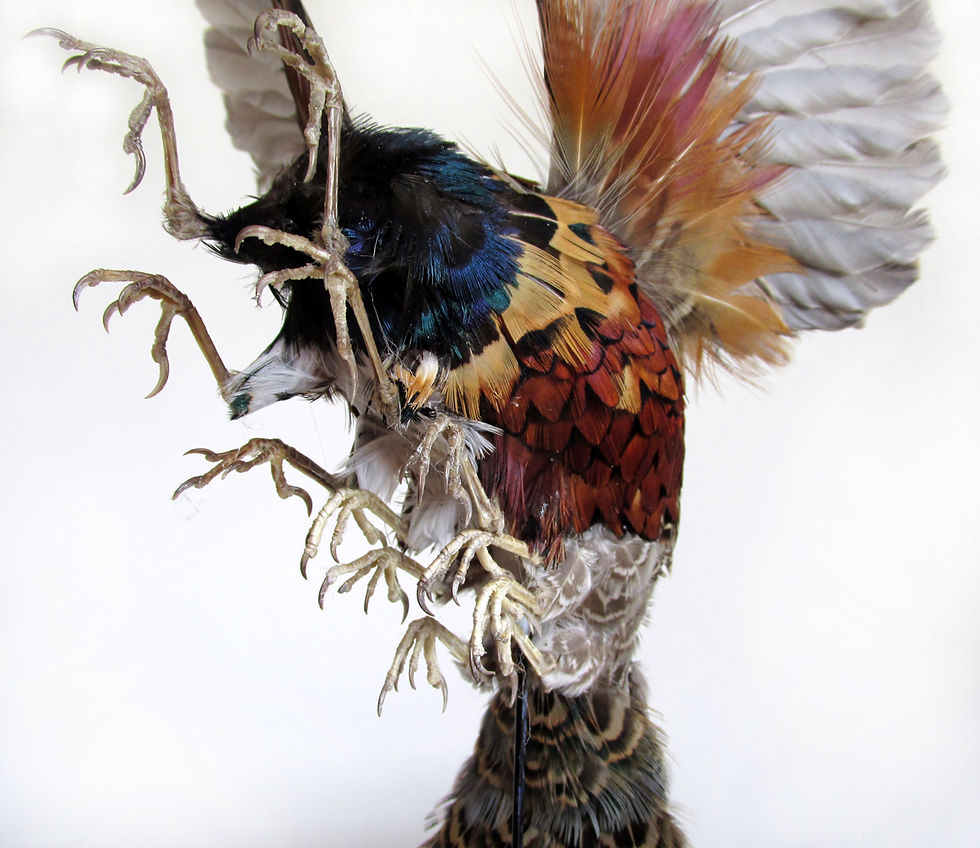 Birdipede II