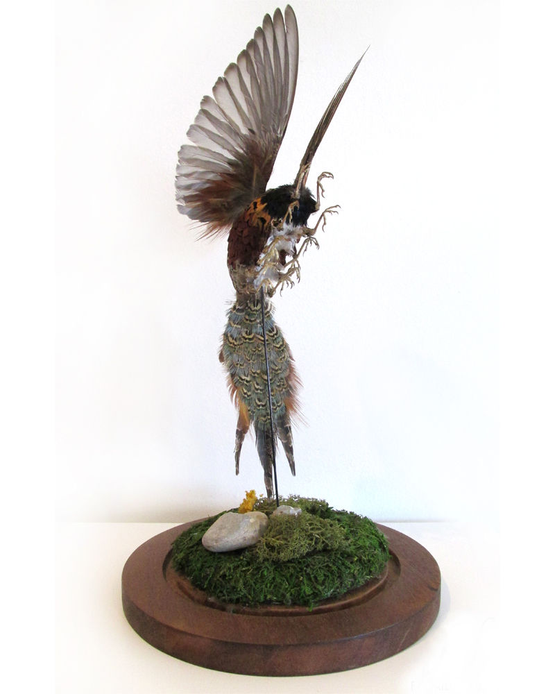 Birdipede II