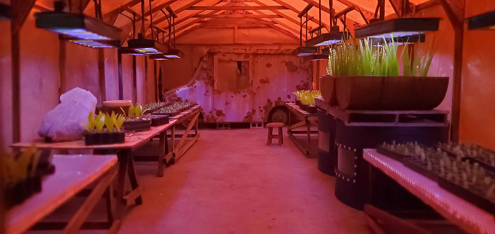 Finished greenhouse set