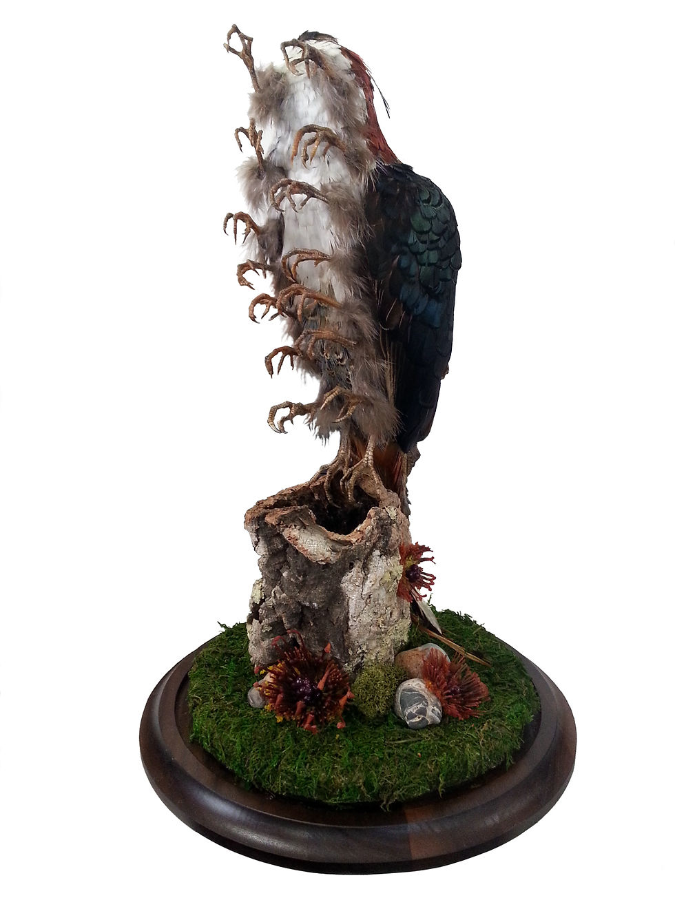 Birdipede III