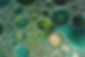 dark-green-different-abstract-bubbles-texture.jpg