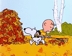 Leaves.gif