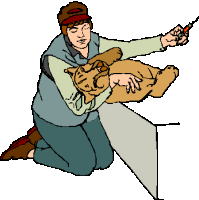 animated-veterinarian-image-0046.gif