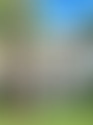 Where to Purchase Property in Memorial, Houston