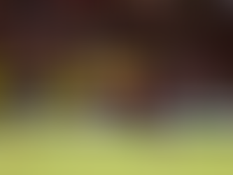 Sport joga com um a menos e perde para o Mirassol na Ilha do Retiro pela Série A