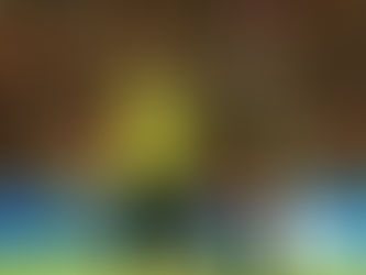 Definida a arbitragem da primeira rodada do Campeonato Pernambucano 2024