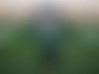 FPF divulga regulamento e tabela do Campeonato Pernambucano 2026