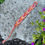 Thumbnail: Friendship Bracelet - goldenrod/magenta arrowhead