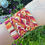 Thumbnail: Friendship Bracelet - goldenrod/magenta arrowhead