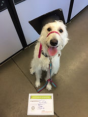 Ella Graduation.jpeg