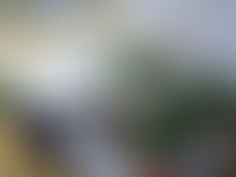 Digital nomad with a laptop in a Portuguese café with a view outside