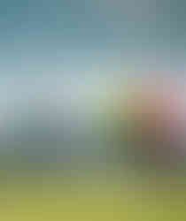 מטוסי TAP אייר פורטוגל ואל על בנמל התעופה בן גוריון, תל אביב.