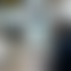 סורקת את הדרכון בנמל התעופה ליסבון פורטוגל